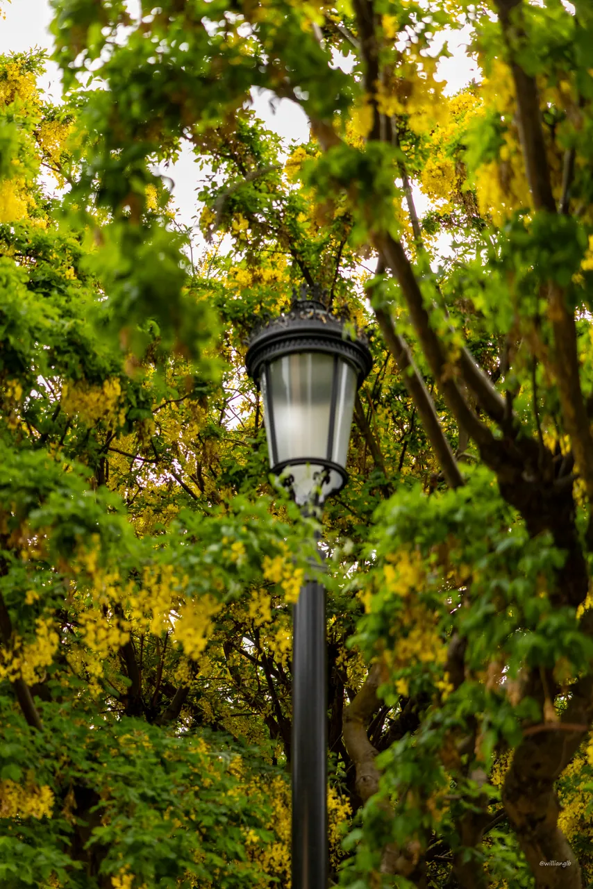 Punta Arenas — 01