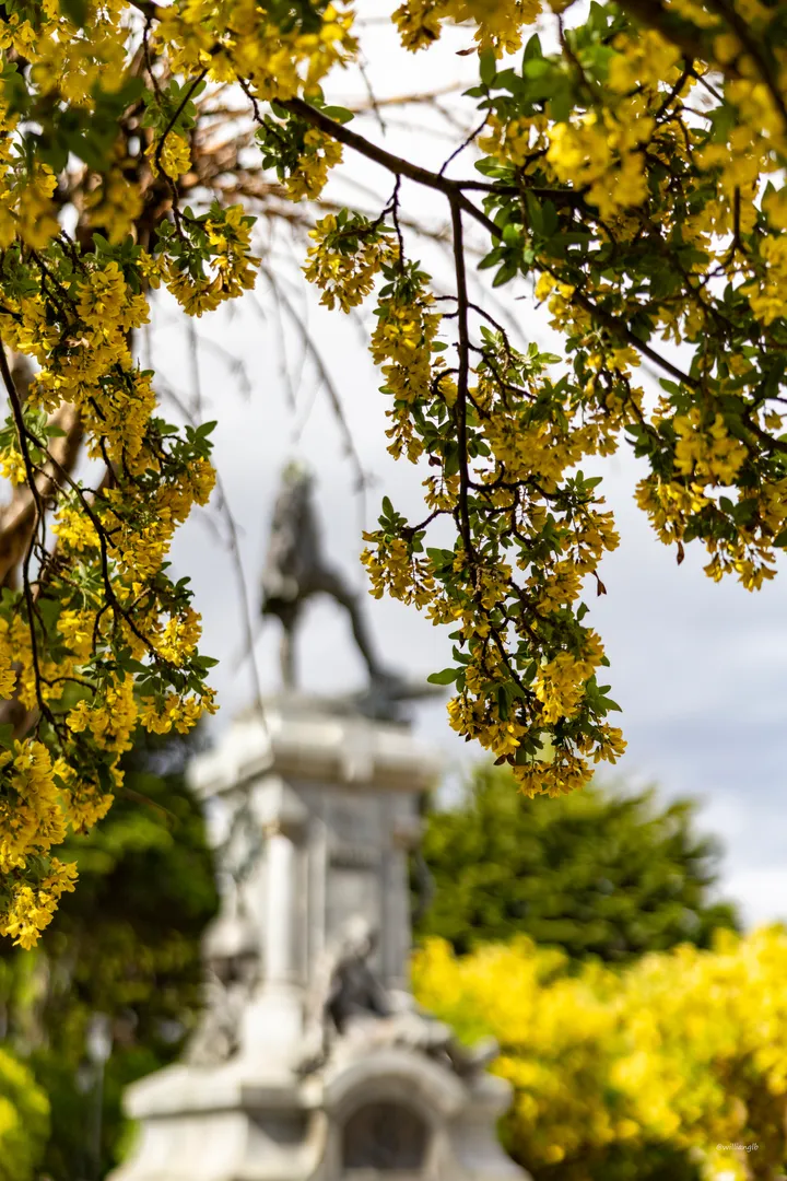 Punta Arenas — 03