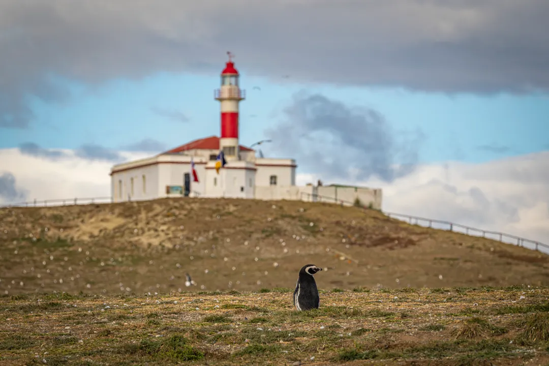 Punta Arenas — 23