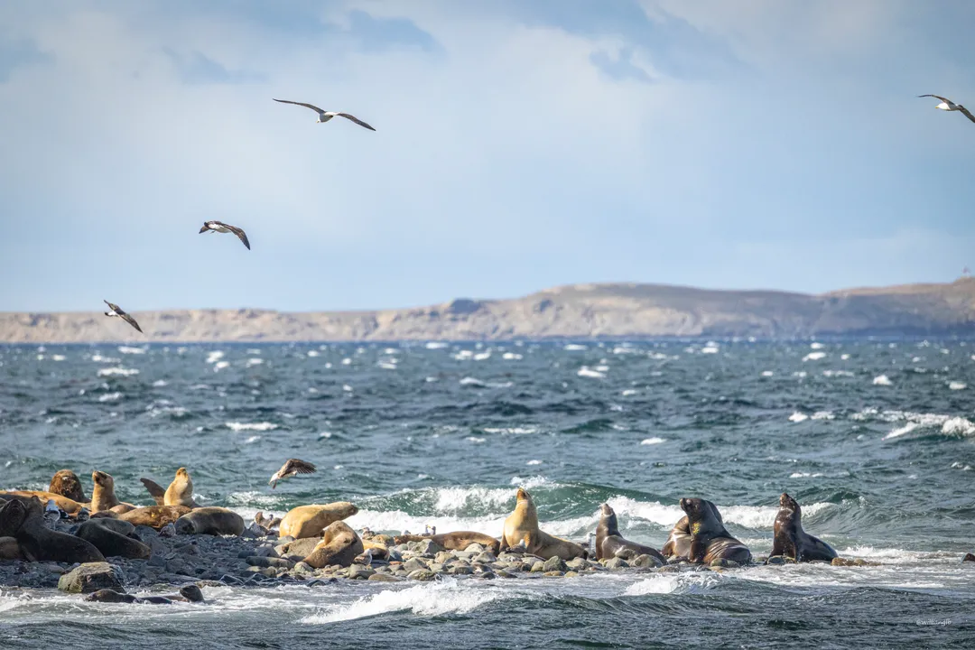 Punta Arenas — 10