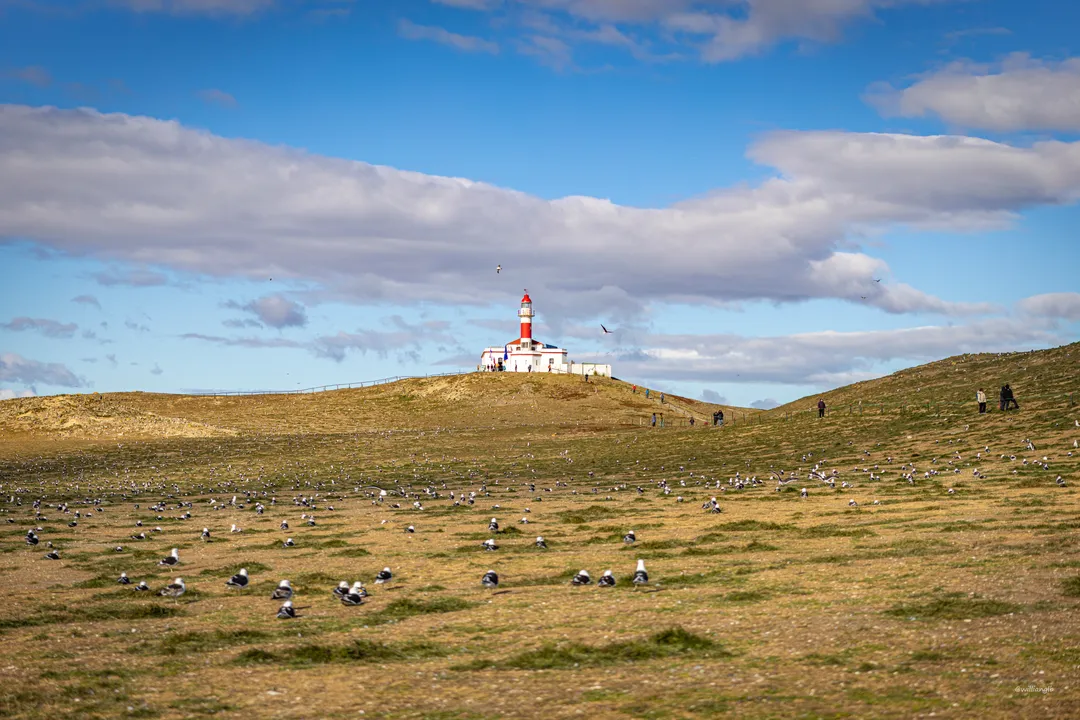 Punta Arenas — 11