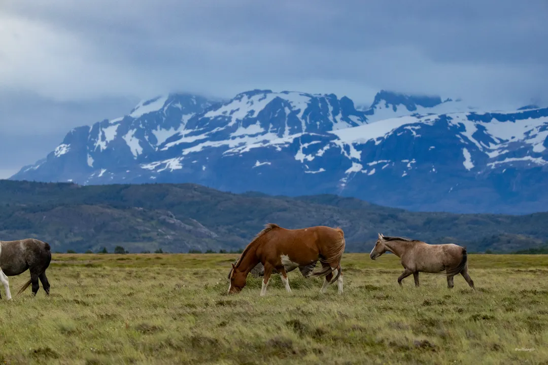 Torres del Paine — 02
