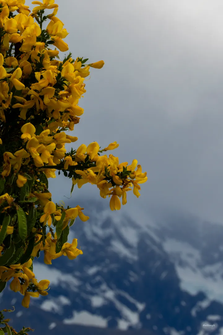 Torres del Paine — 31